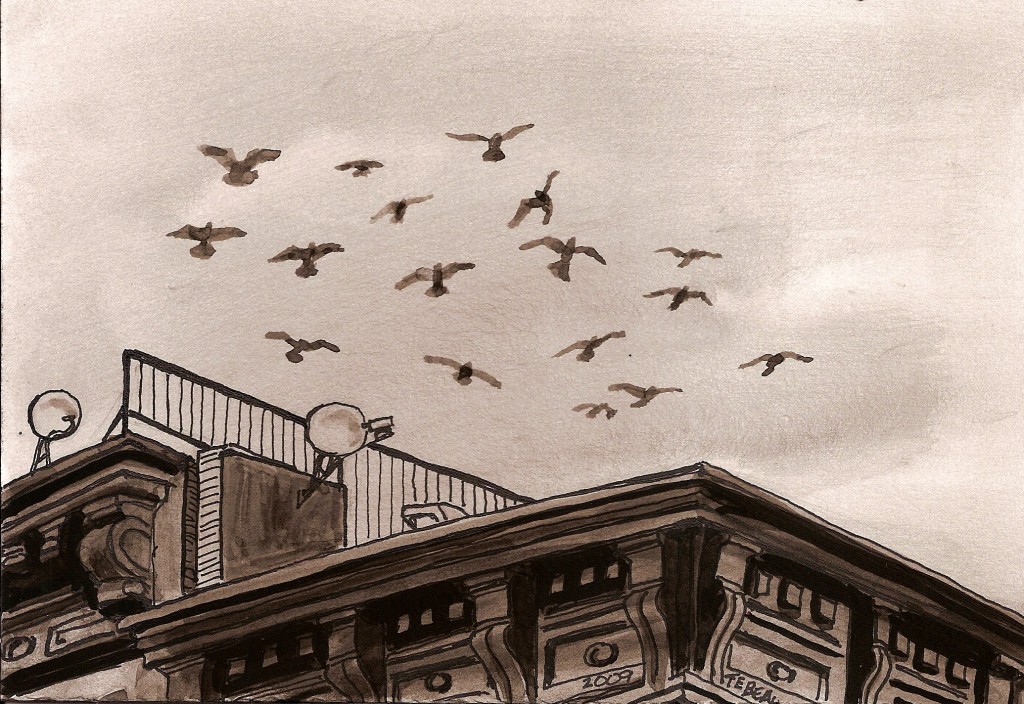 “The Pigeons Who Had Places to GO”: Bird Art # 3 of 30 (SOLD)