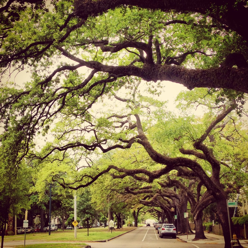 A Few Pretty Pictures from Our New Orleans Bureau: