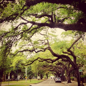 Biking on Carrollton Street