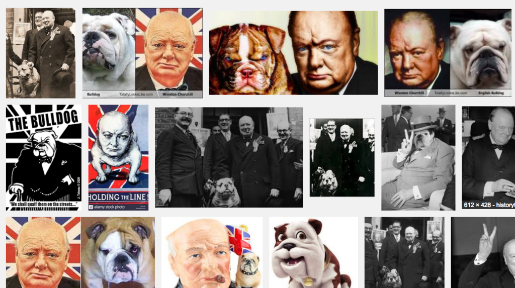 winston churchill english bulldog